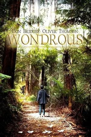 Постер к фильму Wondrous (2014)