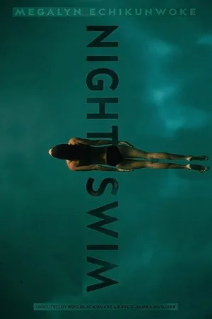 Постер к фильму Ночное купание (2014)