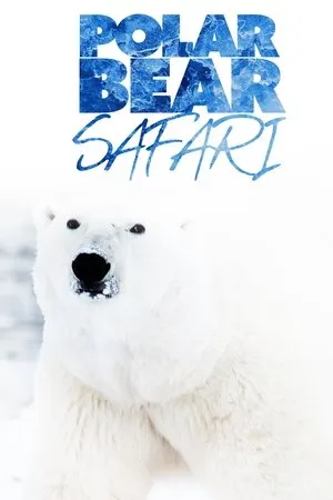 Постер к фильму Polar Bear Safari (2000)
