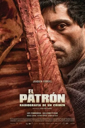 Постер к фильму Покровитель, рентгенография преступления (2014)