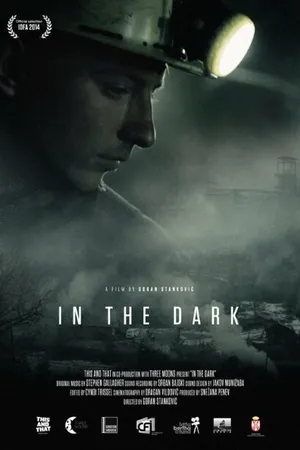 Постер к фильму In the Dark (2014)