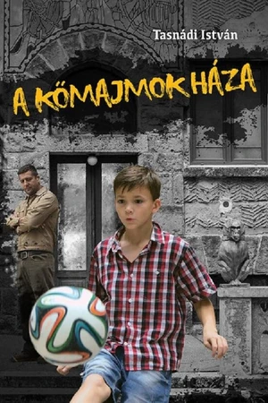 Постер к фильму Дом каменных обезьян (2014)