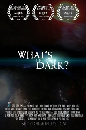 Постер к фильму What's in the Dark? (2014)