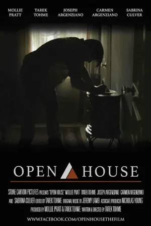 Постер к фильму Open House (2014)