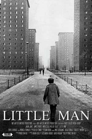 Постер к фильму Little Man (2014)