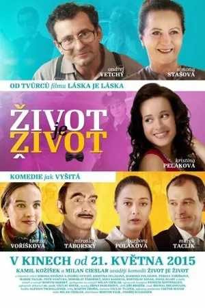 Постер к фильму Такова жизнь (2015)