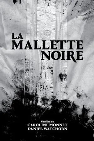 Постер к фильму La mallette noire (2014)
