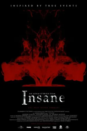 Постер к фильму Insane (2014)