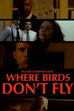 Постер к фильму Where Birds Don't Fly (2017)