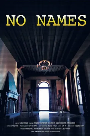 Постер к фильму No Names (2014)