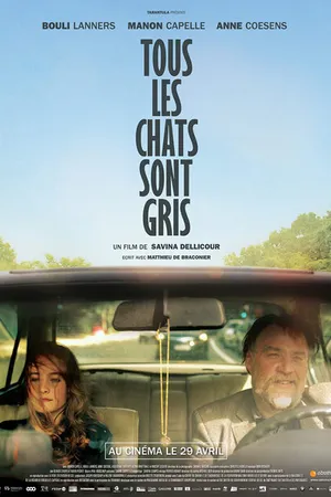 Постер к фильму Tous les chats sont gris (2014)
