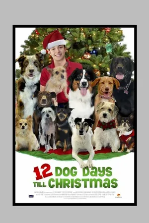 Постер к фильму 12 Dog Days of Christmas (2014)