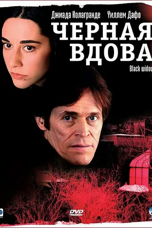 Постер к фильму Черная вдова (2005)