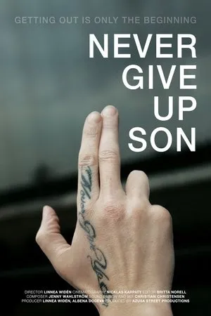 Постер к фильму Never Give up Son (2014)