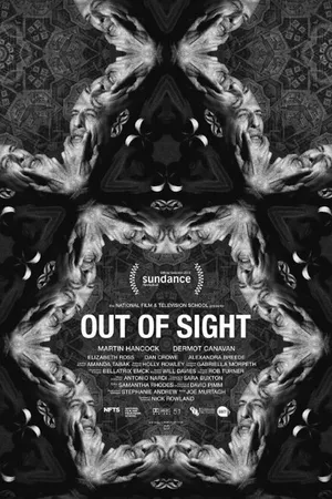 Постер к фильму Out of Sight (2014)