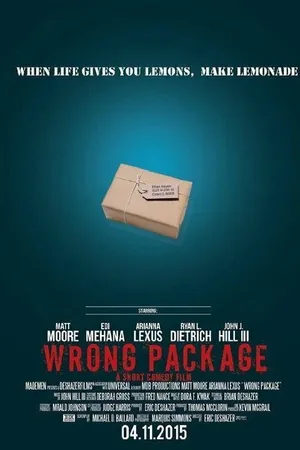 Постер к фильму Wrong Package (2015)