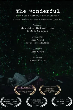 Постер к фильму The Wonderful (2013)