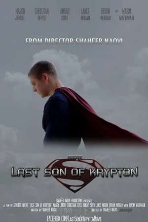 Постер к фильму Last Son (2013)