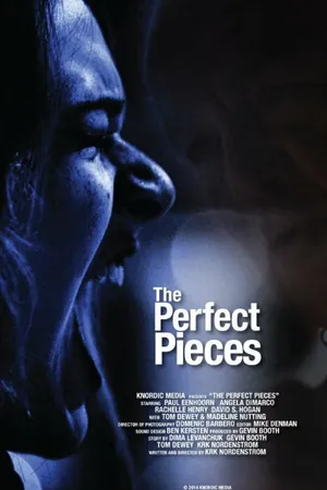 Постер к фильму The Perfect Pieces (2014)