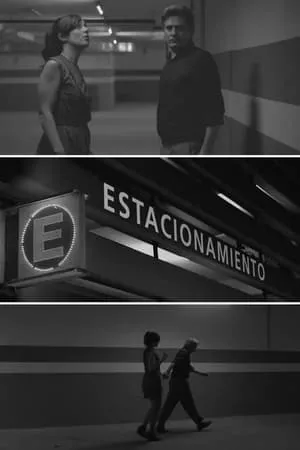 Постер к фильму Estacionamiento (2014)