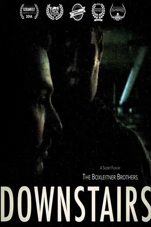 Постер к фильму Вниз по лестнице (2014)