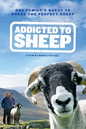 Постер к фильму Повёрнутые на овцах (2015)
