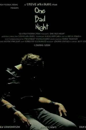 Постер к фильму One Bad Night (2015)