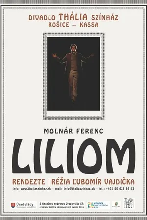 Постер к фильму Liliom (2014)