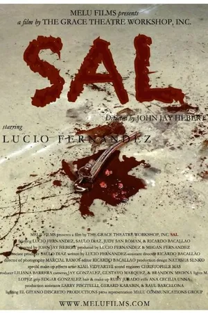 Постер к фильму Sal (2014)
