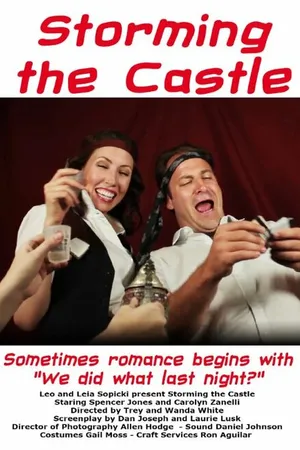 Постер к фильму Storming the Castle (2014)