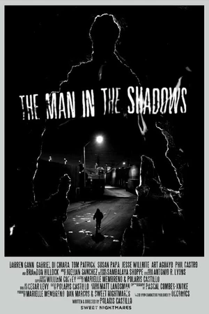 Постер к фильму The Man in the Shadows (2014)