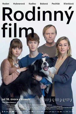 Постер к фильму Семейный фильм (2015)