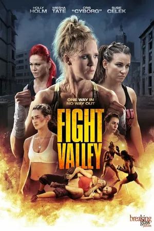 Постер к фильму Бойцовская долина (2016)