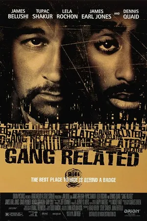 Постер к фильму Преступные связи (1997)