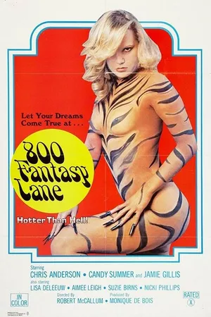Постер к фильму Переулок фантазий, 800 (1979)