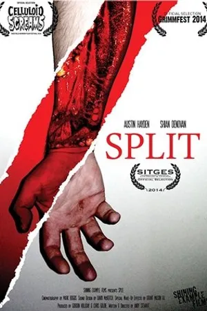 Постер к фильму Split (2014)