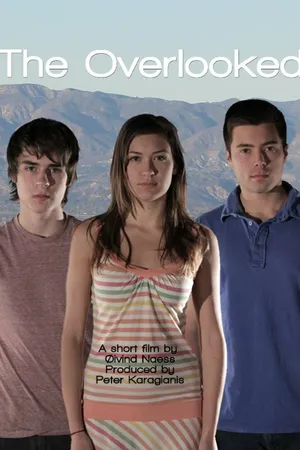 Постер к фильму The Overlooked (2014)
