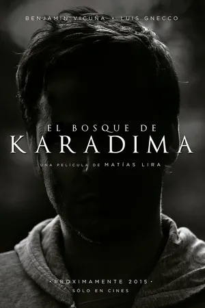Постер к фильму El Bosque de Karadima (2015)