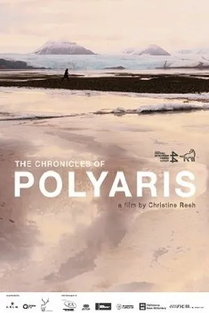 Постер к фильму The Chronicles of Polyaris (2014)