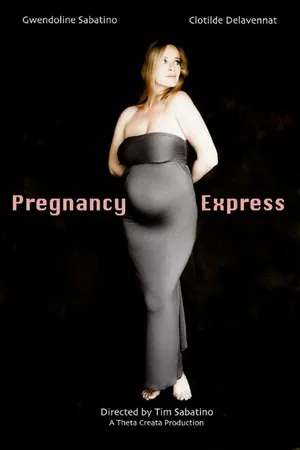 Постер к фильму Pregnancy Express (2014)