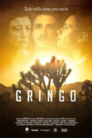 Постер к фильму Gringo (2016)