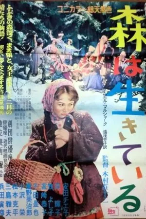 Постер к фильму Двенадцать месяцев (1956)