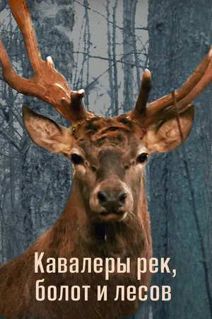 Постер к фильму Кавалеры рек, болот и лесов (2012)