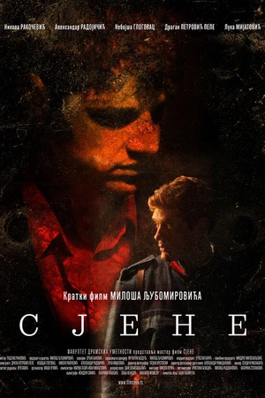 Постер к фильму Тени (2014)