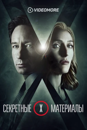 Постер к сериалу Секретные материалы (2015 - 2018)