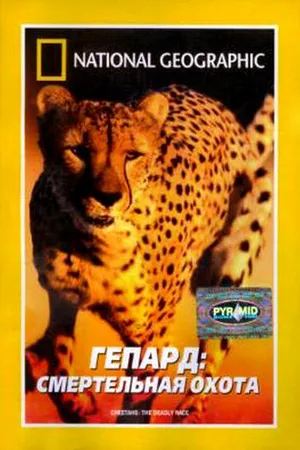 Постер к фильму Гепард: Смертельная охота (2002)