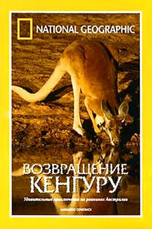 Постер к фильму National Geographic: Возвращение кенгуру (1998)