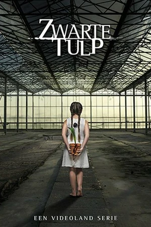 Постер к сериалу Чёрный тюльпан (2015 - 2016)