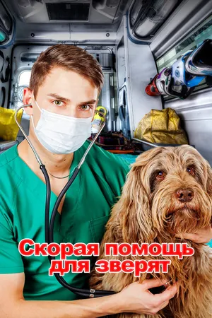 Постер к сериалу Скорая помощь для зверят (2020)