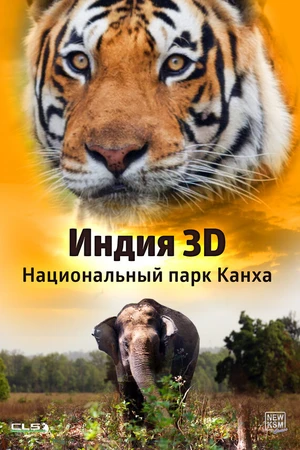 Постер к фильму Индия 3D: Национальный парк Канха (2014)
